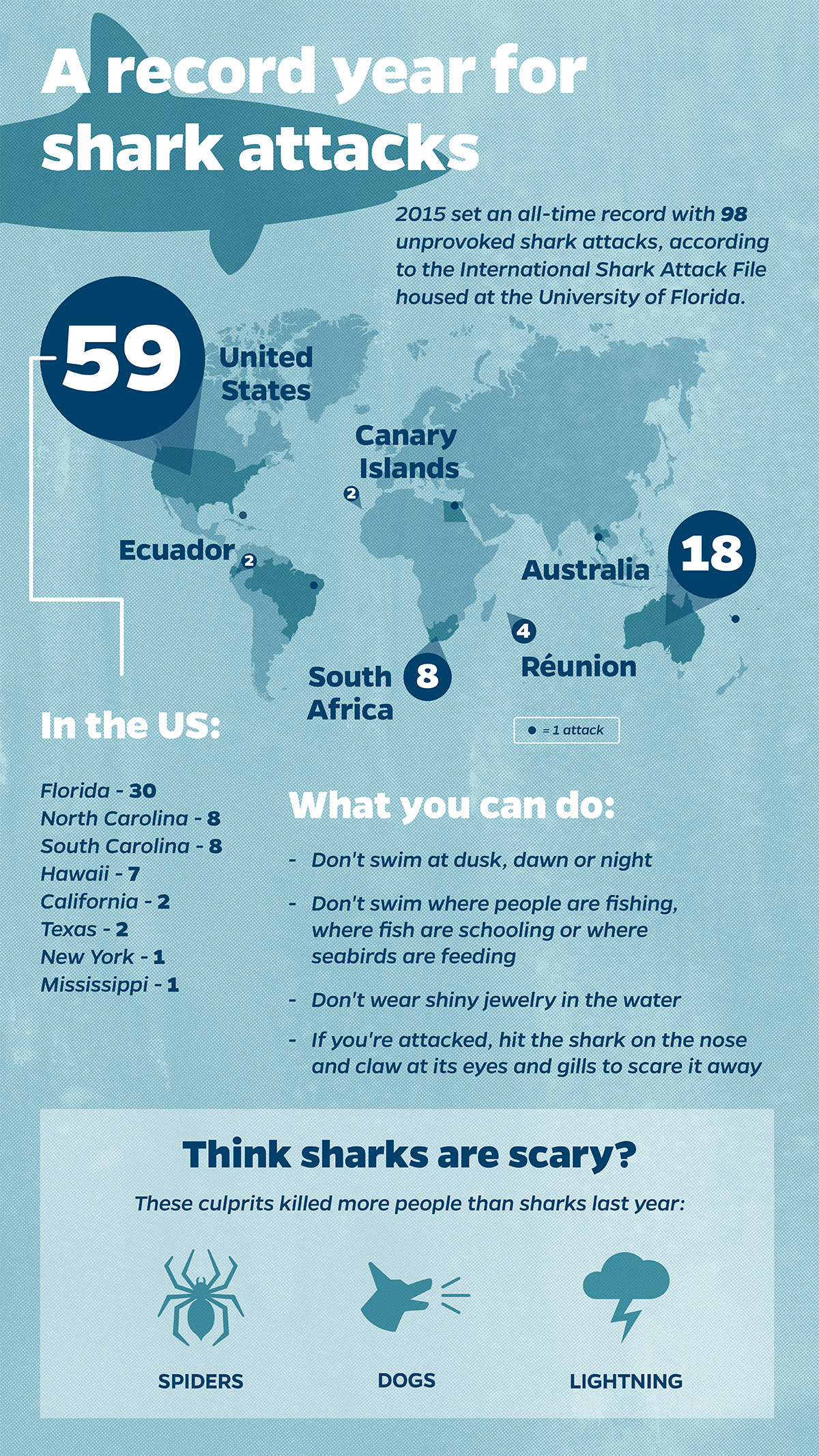 shark attack statistics