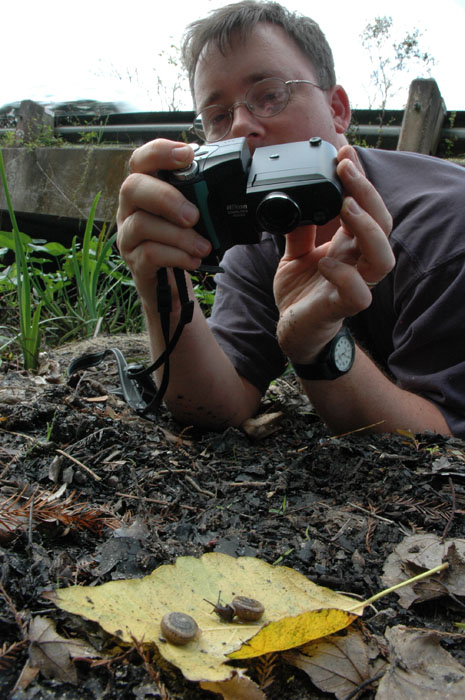 John Slapcinsky photographs snails in Gulf Hammock, Florida.  Photo courtesy of Robert Lasley