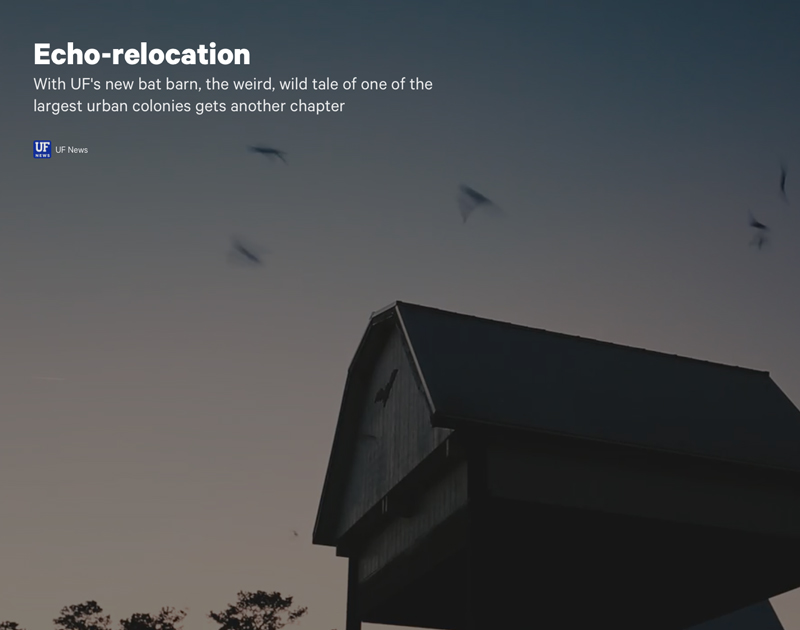 screen shot of story on Atavist about UF bat house