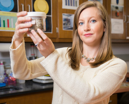 bedbug research holds her colony